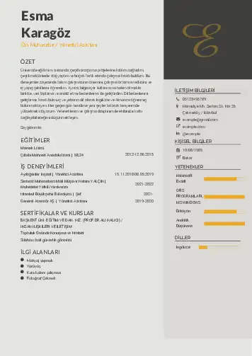 Yönetici Asistanı Cv Örnekleri cv indir